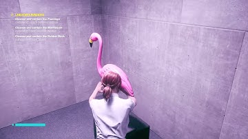 HOW TO CLEANSE THE FLAMINGO IN CONTROL : HD QUALITY