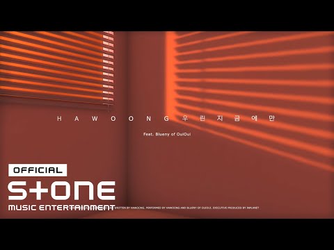 하웅 (Hawoong) - 우린 지금에만 (Like there′s no tomorrow) (Feat. 블루니 of 위위) Lyric Video