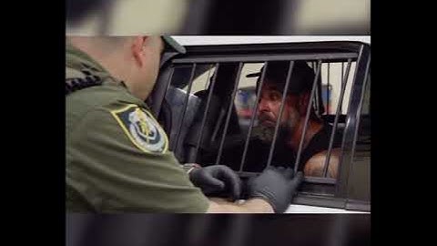 Do you have any weapons? This right hand and this left hand