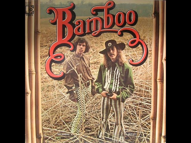 Bamboo – 