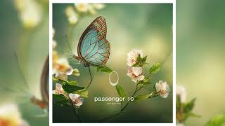 Passenger 10 - Feel This Way