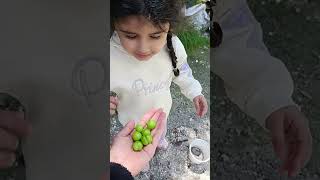 Adaya erik topladım ⁉️#adaoyunda1 #aboneolun #keşfetedüş #cutebaby #funny