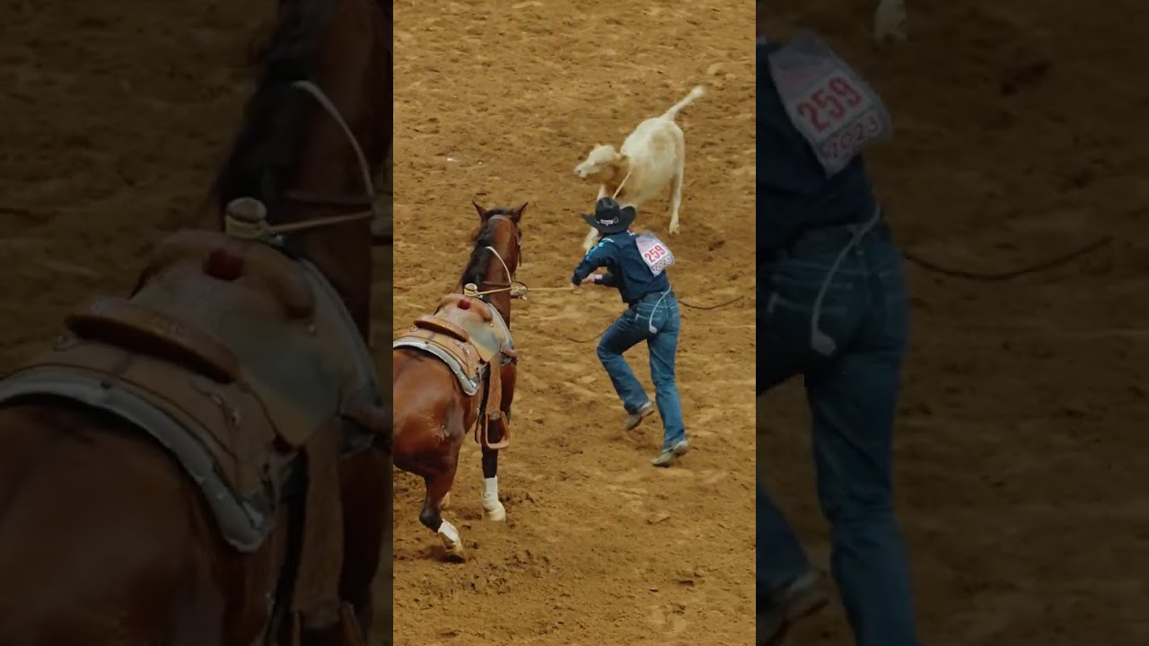 Haven Meged Semi Finals at SA 