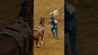 Celebrity Haven Meged Semi Finals at SA #shorts Net Worth