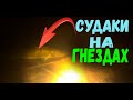 ПОДВОДНАЯ СЪЕМКА!!! СУДАКИ НА ГНЕЗДАХ!!! ФОТООХОТА В ЗАПРЕТ 2021!!!