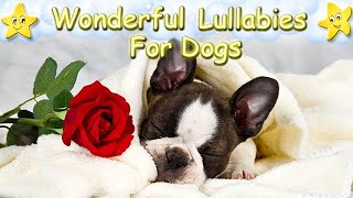 Relax You Boston Terrier Puppy Effectively Within 10 Minutes ♫ Calm Your Dog ♥ Soft Animal Pet Music screenshot 1