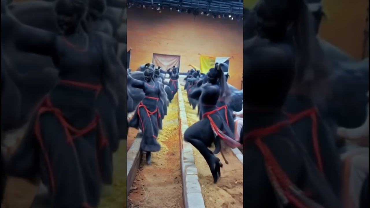 भैंस का funny action,buffalo vlog,cow vlog,village vlog video,pashuupalan vlog