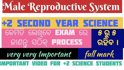 +2 Board Chse🥰 Zoology Most Selective Long Questions 2026 || Male Reproductive🤩 System |