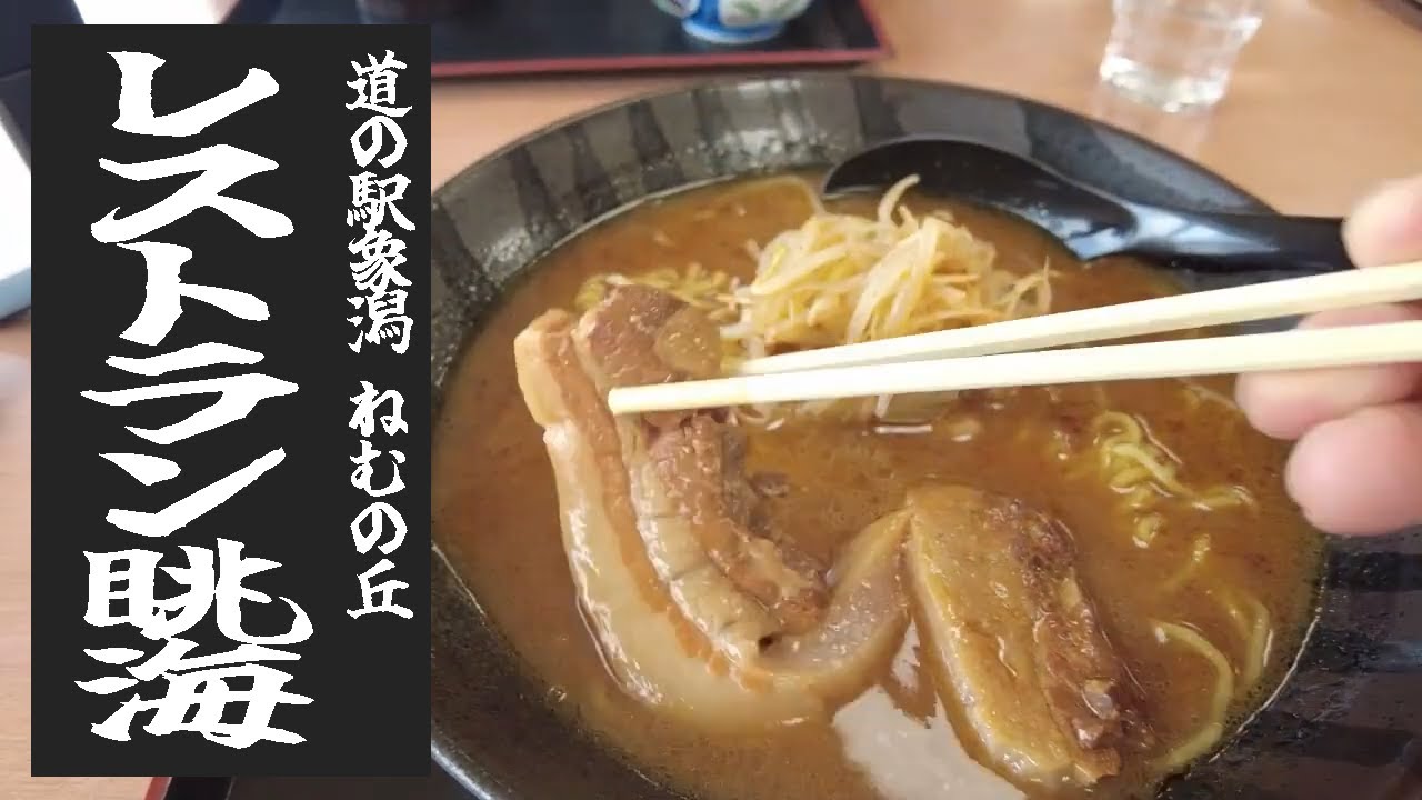 【激うま海鮮丼】道の駅象潟・レストラン眺海で味噌ラーメンとミニ海鮮丼を食べてきました。【ねむの丘】