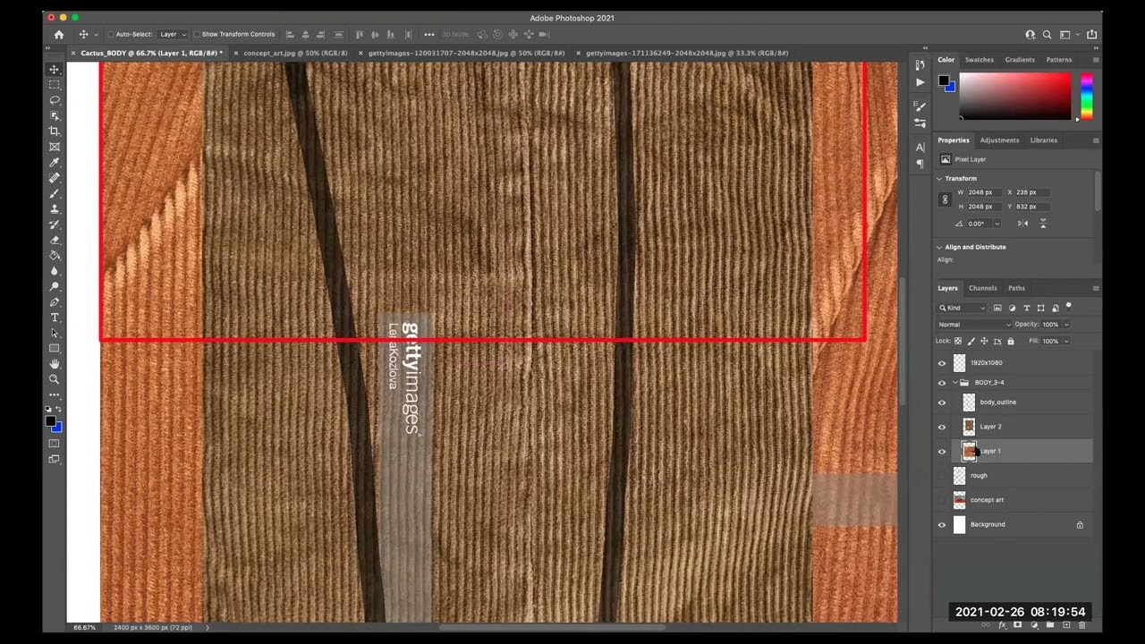 Cactus puppet designed in Photoshop with photo textures