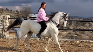 I rode the yaghma without a saddle,Riding without a saddle،سوارکاری فاطیما بدون زین با یغما