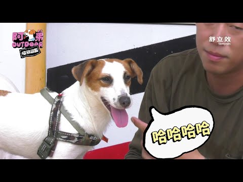 【阿弟OUTDOOR】EP.2－玖壹壹把拔們的寵物知識王PK賽