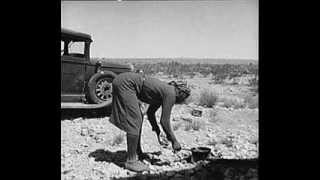 Willie Reed All Worn Out and Dry Blues (1935)