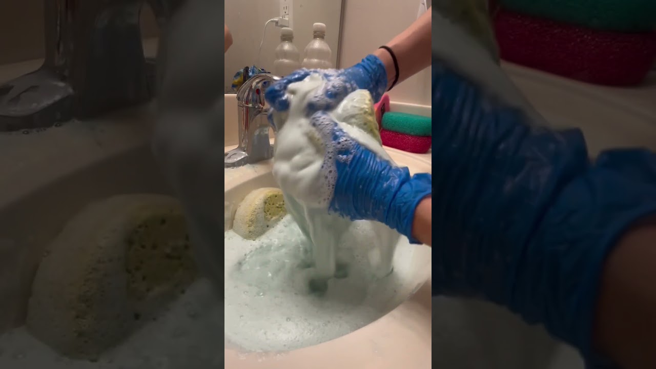 SpongeSqueezingAsmr From cleantok/spongetok