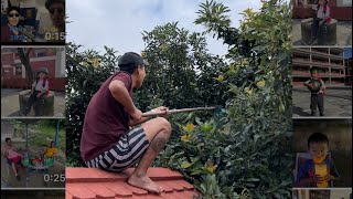 Hunting Free Avocado