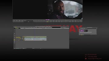 AVID BUG (Media Slow Mo)