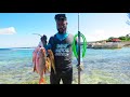 Catch N Cook | 4lb Mutton Snapper, Lobster and Lizard Fish