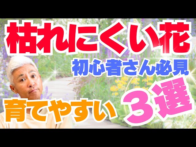 A must-see for beginners! If your plant isn't growing well, it's