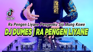 Video thumbnail of "DJ DUMES - RA PENGEN LIYANE PENGENKU SIJI MUNG KOWE REMIX FULL BASS VIRAL TIKTOK TERBARU 2023"