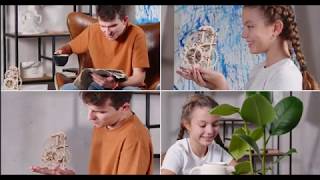 Ugears Dynamometer: assemble and measure your strength with me