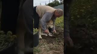 Удивительные животные !!!