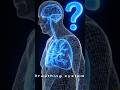 🧠 "Brain कैसे control करता है आपकी सांस? जानिए shocking truth!" #knowledge #sciencefacts #didyouknow