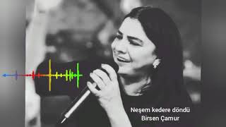Neşem kedere döndü & Birsen Çamur
