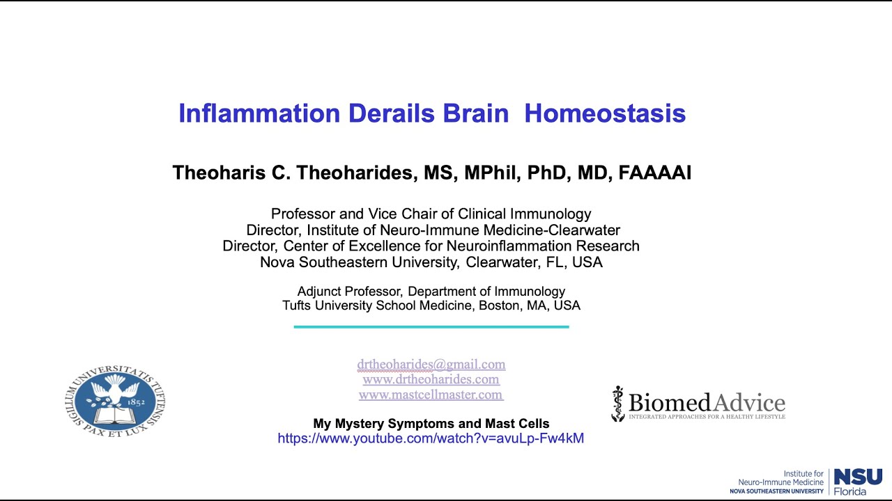 Inflammation Derails Brain Homeostasis | Dr. Theoharis Theoharides | INIM Conference 2024