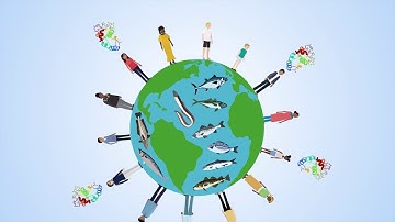 Can Aquaculture help us produce farmed fish with reduced allergenic potential?