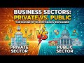Private Sector vs Public Sector Explained with Real Examples | Full Business for Students &amp; Learners