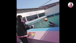 180224 [TWICE] Momo Playing with Dolphin 트와이스 トゥワイス screenshot 2