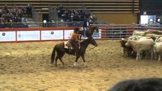 Equitalyon Mercuria, Royal Lil Lady, Rider Lindy Burch, Owner Bernard Bosch