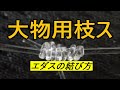 釣り糸の結び方【エダスの結び方】大物対応の枝スの出し方、大物から小物まで使える結び方と外掛け結び枕付き、張りのあるハリスにどうぞ!仕掛けを付けたまま後付け可能な結び方バチコン