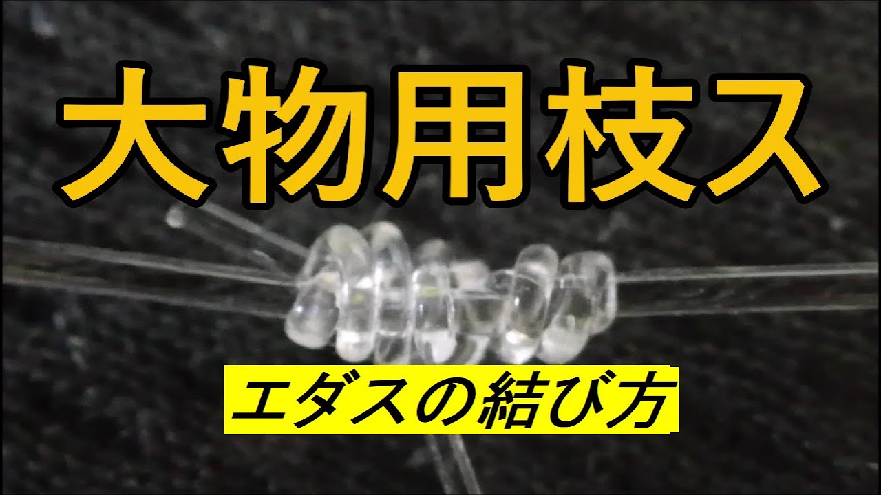 釣り糸の結び方【エダスの結び方】大物対応の枝スの出し方、大物から小物まで使える結び方と外掛け結び枕付き、張りのあるハリスにどうぞ！仕掛けを付けたまま後付け可能な結び方バチコン
