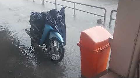 CHIỀU MƯA TRÊN BẾN PHÀ CHỢ NỔI CÁI RĂNG - CẦN THƠ