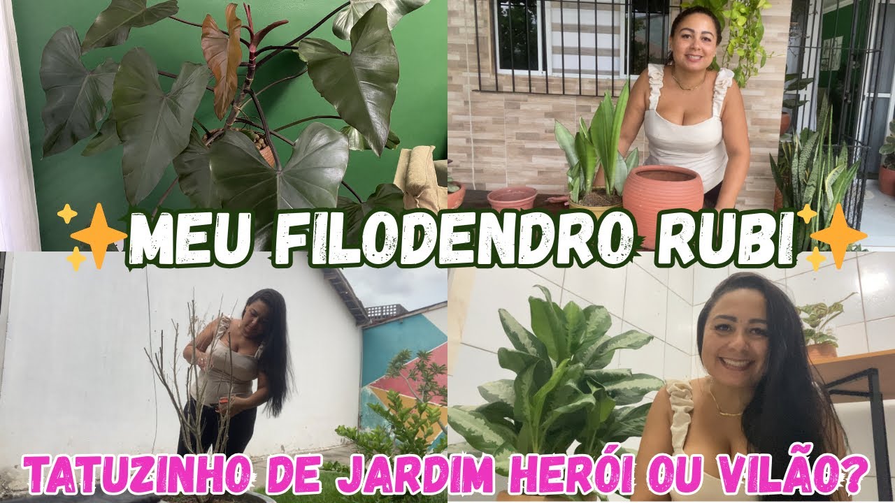 FILODENDRO RUBI PERFEITO + Poda no Jasmim e Replante da Espada Prateada 🌿✨ 