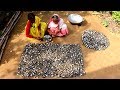 Traditional Oyster Recipe by our Grandmother | Village Style Cooking Spicy Oyster