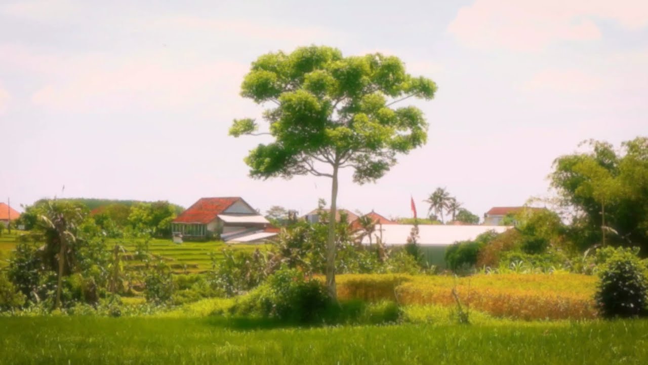 relaxing nature on silent day in bali - #nyepicaka1946