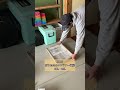 築32年の空き家に引っ越して2年…