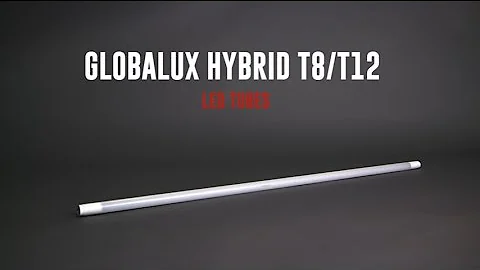 GlobaLux T8 Hybrid LED Tubes | Product Spotlight
