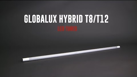 GlobaLux T8 Hybrid LED Tubes | Product Spotlight