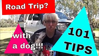 101 Tips for Taking a Dog on a Road Trip in Australia