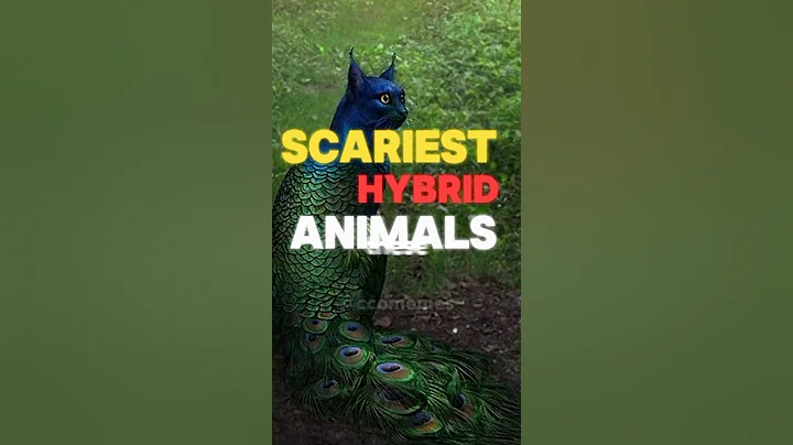 Scariest Hybrid Animals🌎