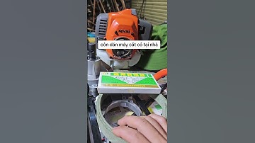 côn dán máy cắt cỏ tại nhà