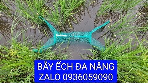 Bán lợp ếch đa năng, bán bẫy cá đa năng, bán dớn 2 đầu. zalo 0936059090.