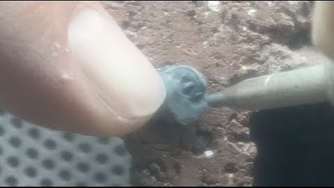 Fossil Prep Blog Episode 2: Different Pressures Help Expose the Fossil