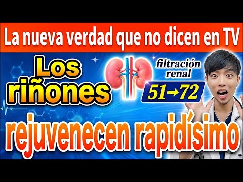 ¿Sabías que la salud de tus riñones define tu vida? Descubre cómo protegerlos según expertos