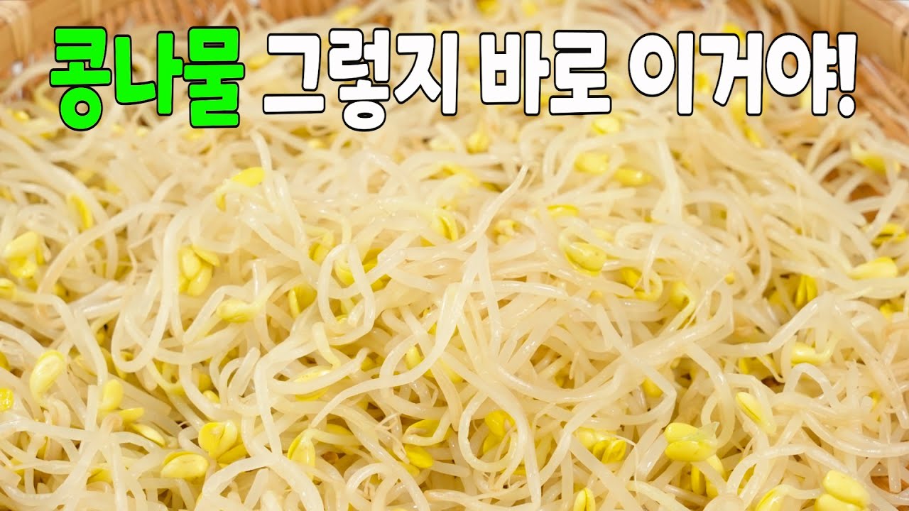 콩나물무침