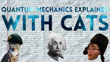 Quantum Mechanics Explained With Cats - Breakthrough Junior Challenge 2017