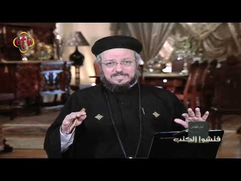اللى يخلى عندنا رجاء مش عشان أحنا كويسين عشان الله محبة من برنامج فتشوا الكتب
